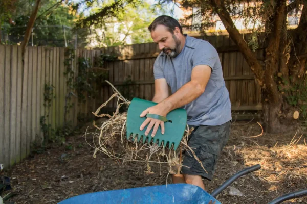 Garden Maintenance (1)